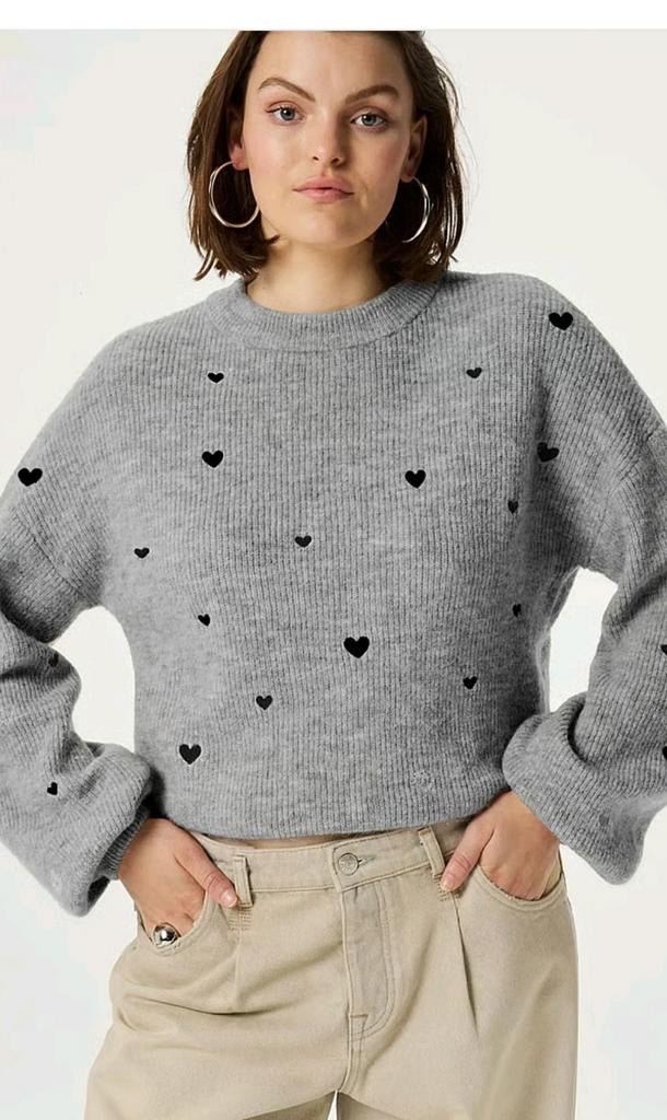 Fabienne Chapot Lidia pullover/ trui maat M *nieuw *, Maat 38/40 (M), Nieuw, Ophalen of Verzenden, Fabienne Chapot