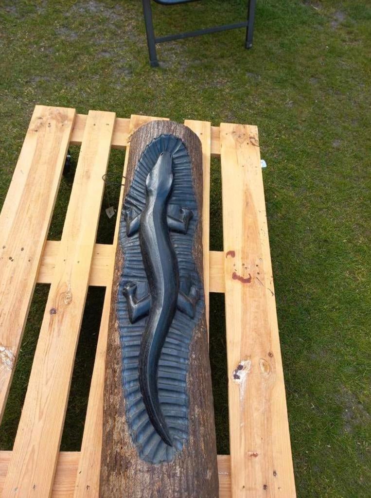 Wandpaneel/wanddecoratie gekko/hagedis, hout, Indonesië, Ophalen