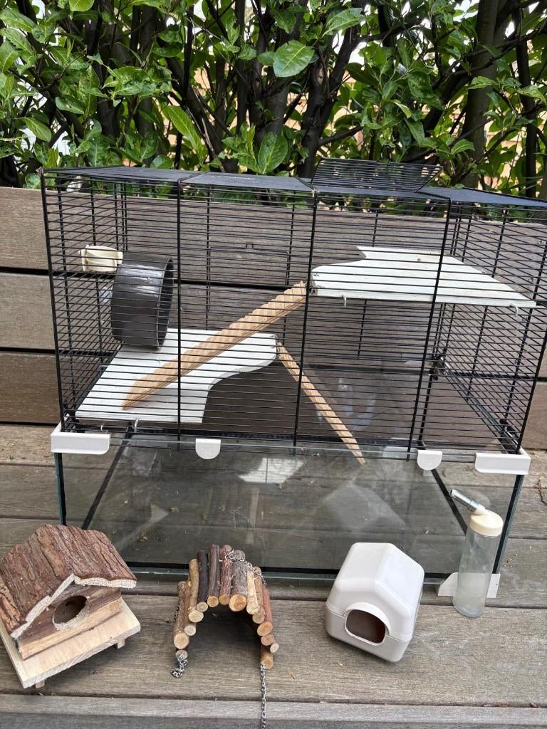 Hamster kooi (incl. toebehoren, drinkflesje, huisje, 2xwiel), Dieren en Toebehoren, Kooi, Gebruikt, Minder dan 75 cm, Hamster