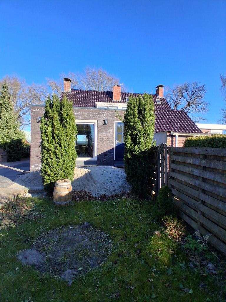 Taxus Hoog, Ophalen, Taxus, Struik, 250 cm of meer