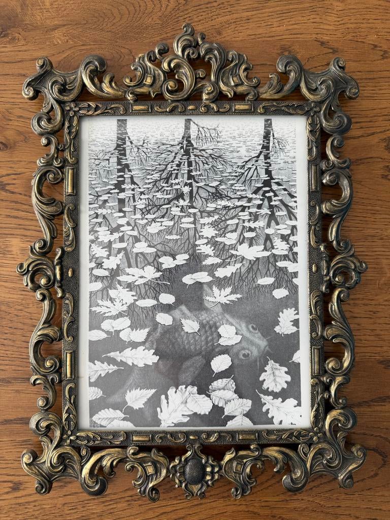 M.C. Escher in Italiaanse lijst, Ophalen of Verzenden