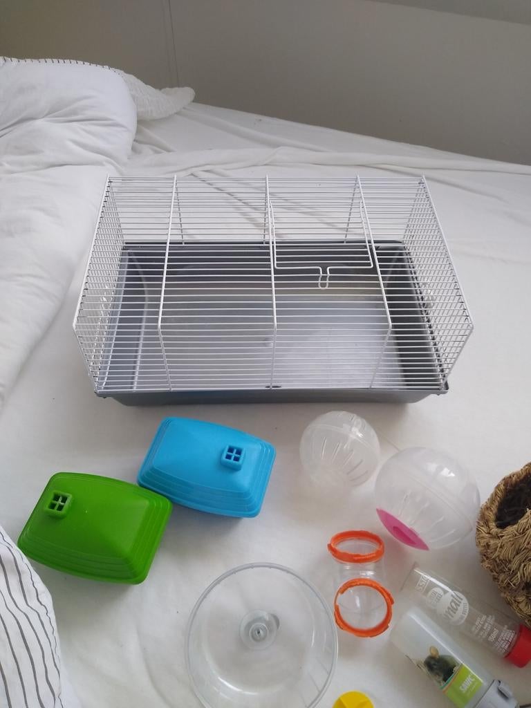 Leuk voor een kind Complete Hamsterkooi, Ophalen of Verzenden, Hond