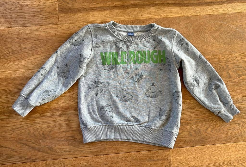 Grijze trui maat 110-116 Wild &Rough met beertjes Dopodopo, Gebruikt, Trui of Vest, Ophalen of Verzenden, Dopodopo