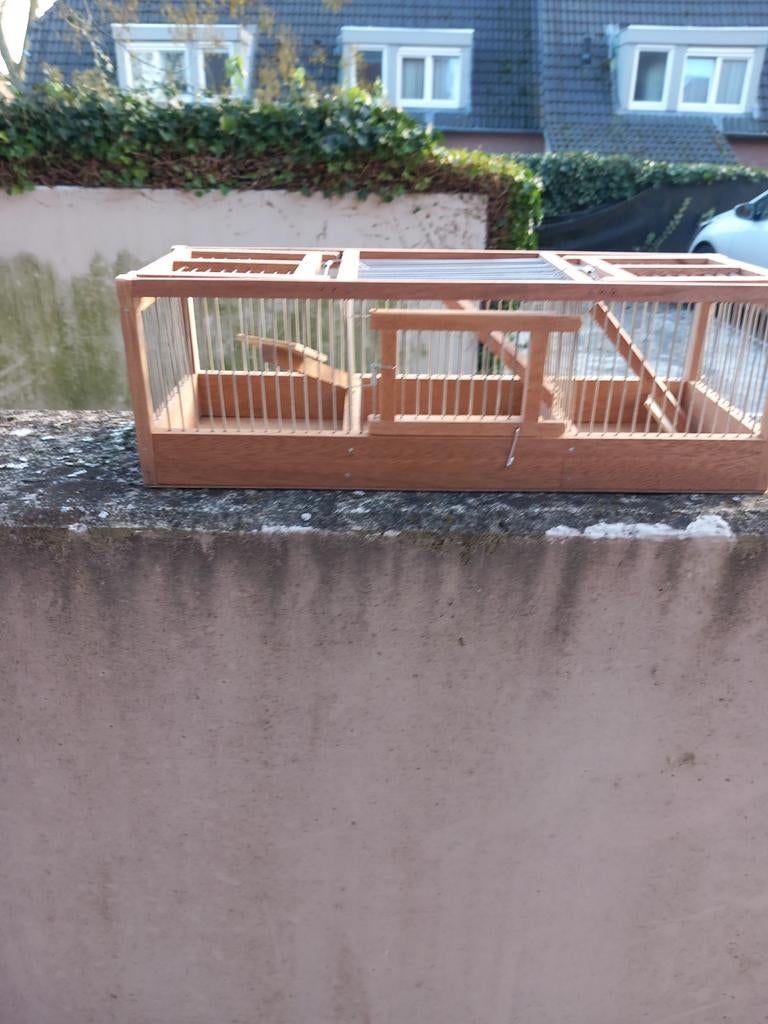 vangkooien in 3 maatten, Dieren en Toebehoren, Ophalen of Verzenden, Nieuw, Hout, Vogelkooi