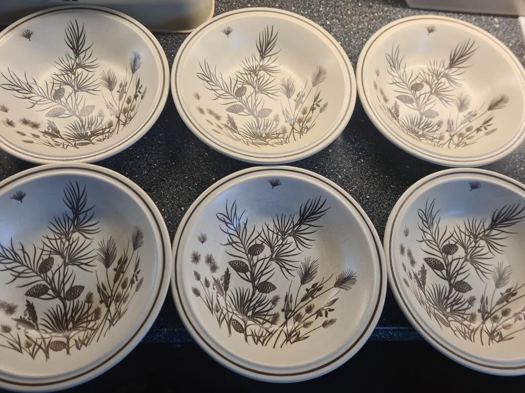 PINEWOOD- 6x diepe borden - W.H. Grindley Co Ltd, Gebruikt, Keramiek, Ophalen of Verzenden, Bord(en)