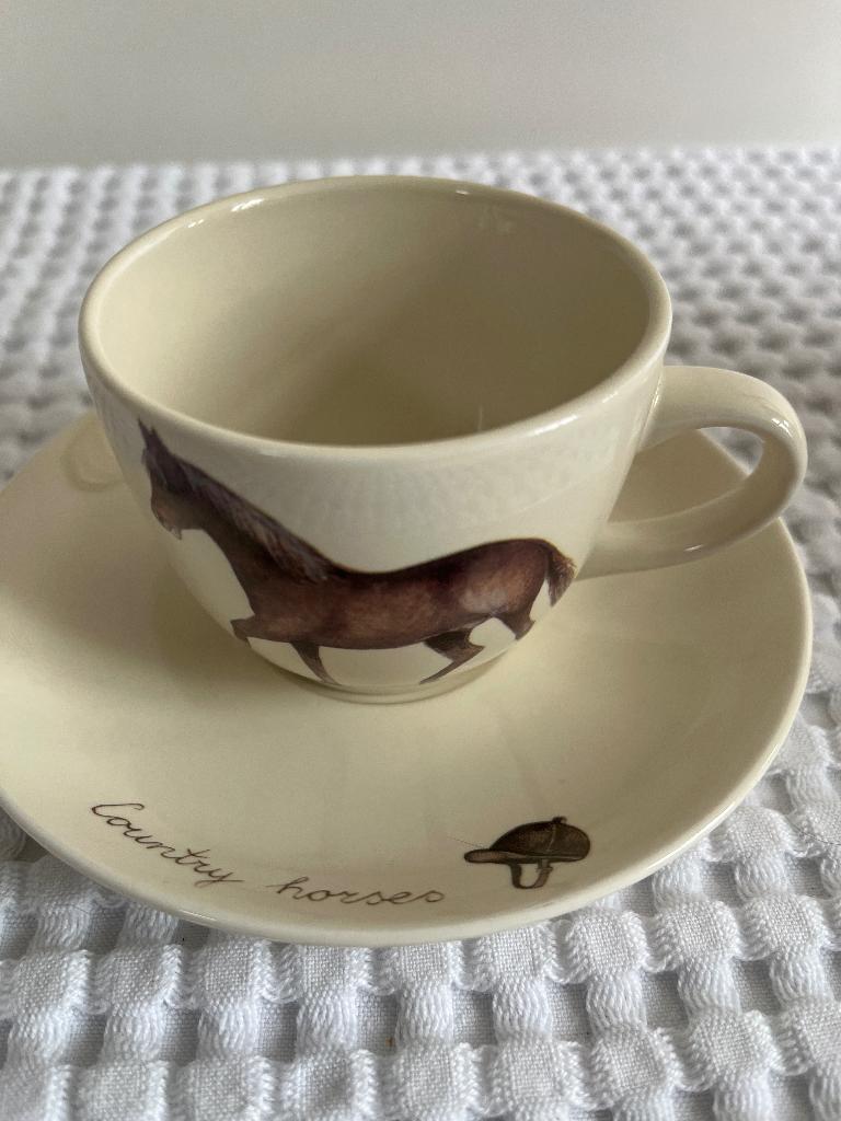 Jet Ter Steege Paard kop en schotel  (5), Ophalen of Verzenden, Zo goed als nieuw, Overige materialen, Kop en/of schotel