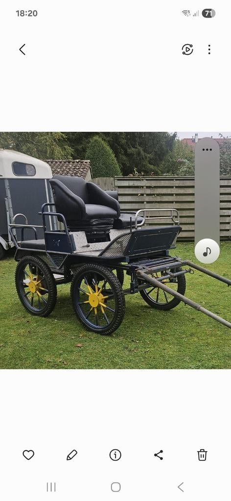 Menwagen, Dieren en Toebehoren, Ophalen of Verzenden