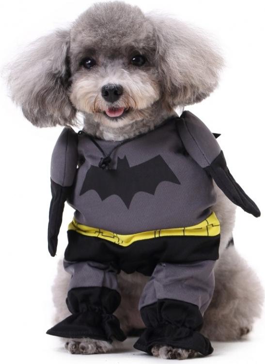 batman kostuum klein hond nieuw, Dieren en Toebehoren, Ophalen of Verzenden, Nieuw