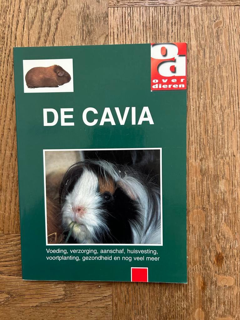 Boek: De Cavia, Boeken, Ophalen of Verzenden, Zo goed als nieuw, Konijnen of Knaagdieren