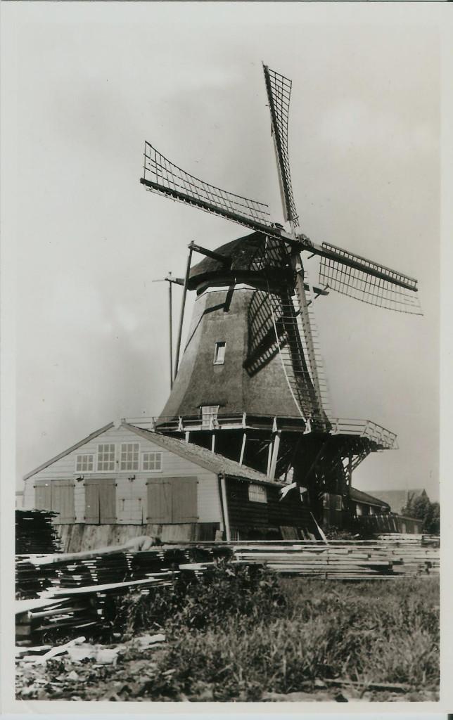 Zaagmolen Leiden 1966 molen De Herder, Ophalen of Verzenden, 1960 tot 1980, Ongelopen, Zuid-Holland