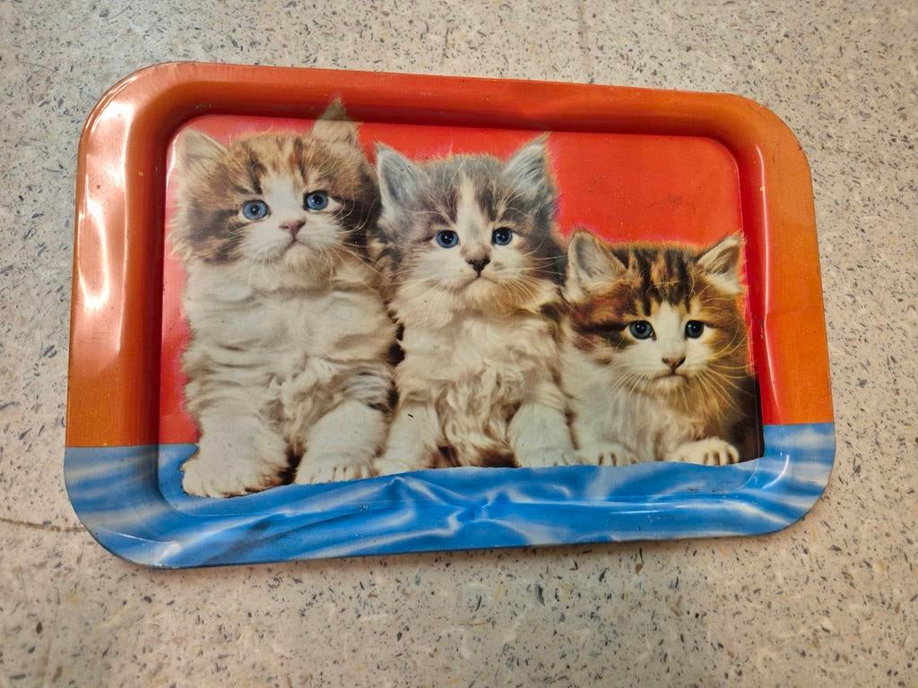 Poezen dienblad, Ophalen of Verzenden, Huis en Inrichting