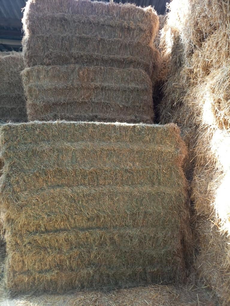 Dikke pakken Hooi, Dieren en Toebehoren, Ophalen, Vee