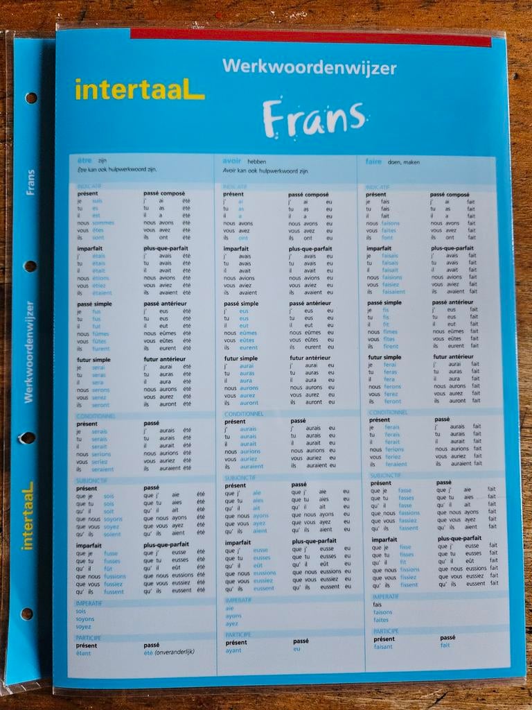 Handige geplastificeerde taalhulpen van Intertaal, Ophalen of Verzenden
