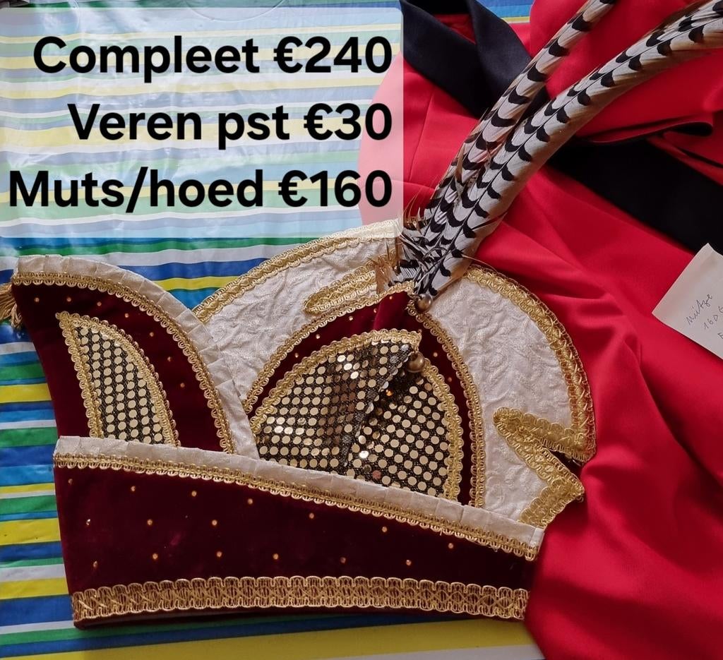 Carnaval, steek voor de prins met echte veren!, Ophalen, Zo goed als nieuw, Architecten