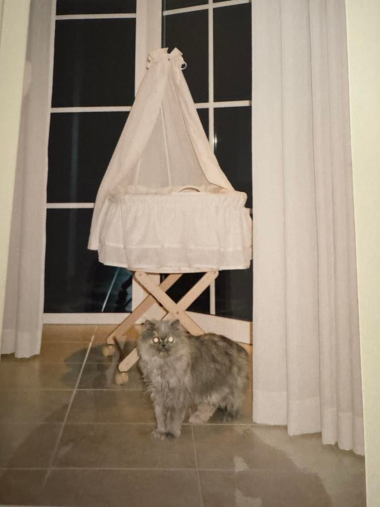 Mooie creme kleurige wieg, Ophalen of Verzenden, Zo goed als nieuw, Wieg