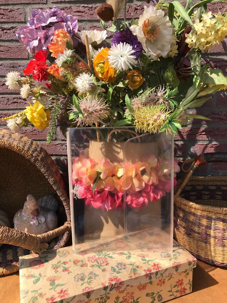 Omslag van de Avro bode Televizier - plastic - vintage, Verzamelen, Ophalen of Verzenden, 1960 tot 1980, Nederland, Tijdschrift