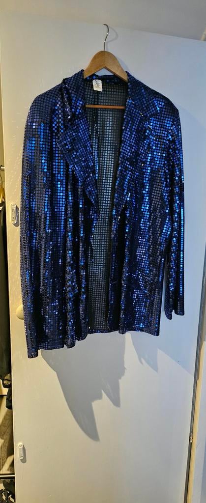 Heren carnavals jasje, Kleding | Heren, Ophalen of Verzenden, Gedragen