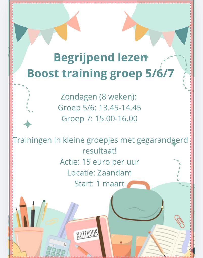 Begrijpend lezen booster training groep 5/6/7, Diensten en Vakmensen, Bijles, Privé-les en Taalles, Bijles