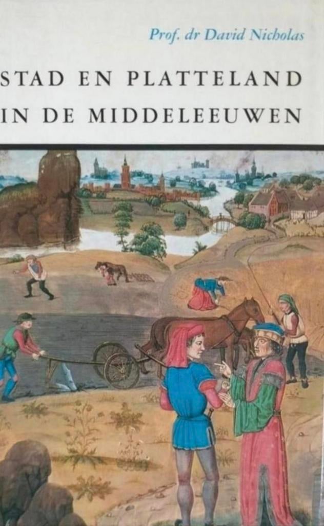 David Nicholas - Stad en platteland in de middeleeuwen, Boeken, Gelezen, 14e eeuw of eerder, Ophalen of Verzenden, David Nicholas