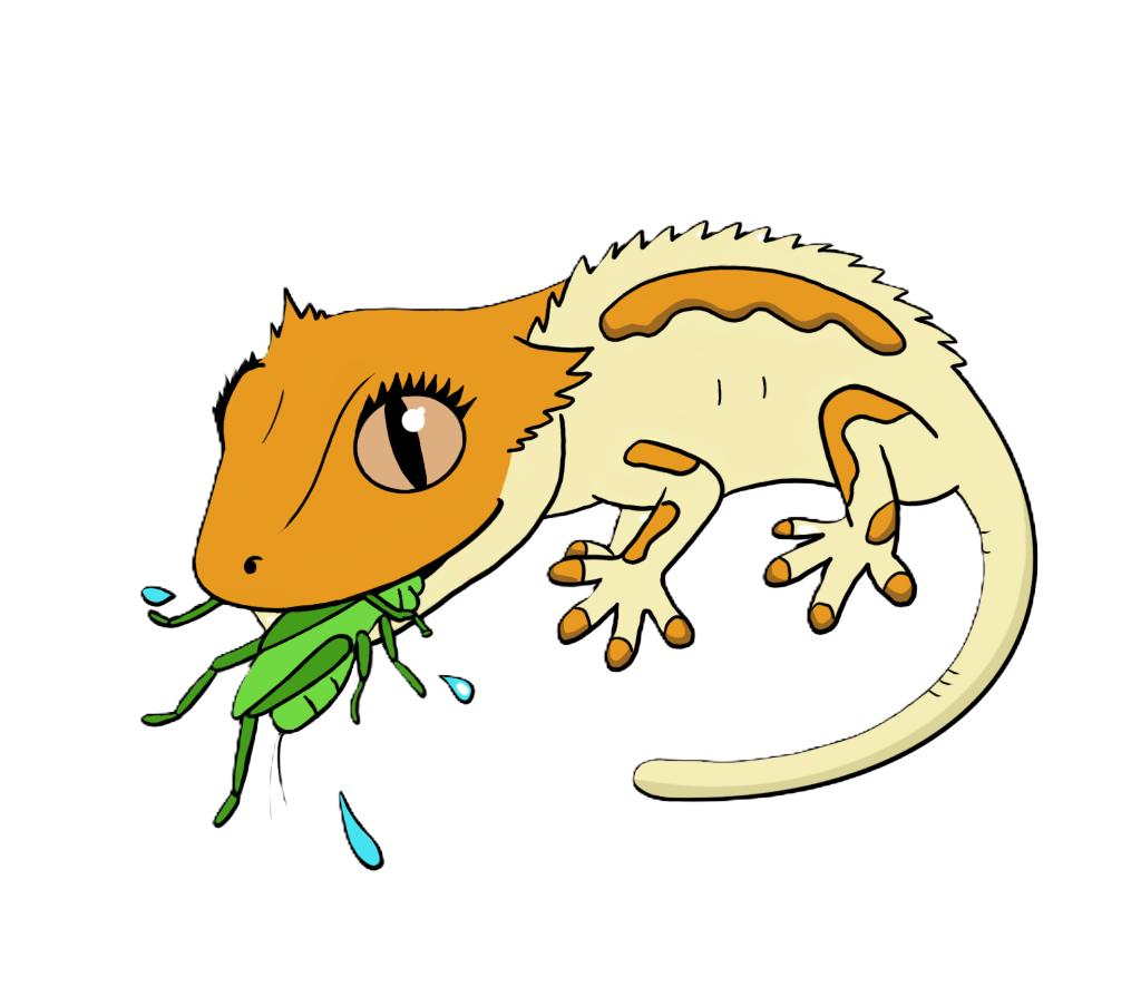 Levende en bevroren voedseldieren!, Dieren en Toebehoren, Ophalen, De Reptielenboer, Overige typen, Nieuw