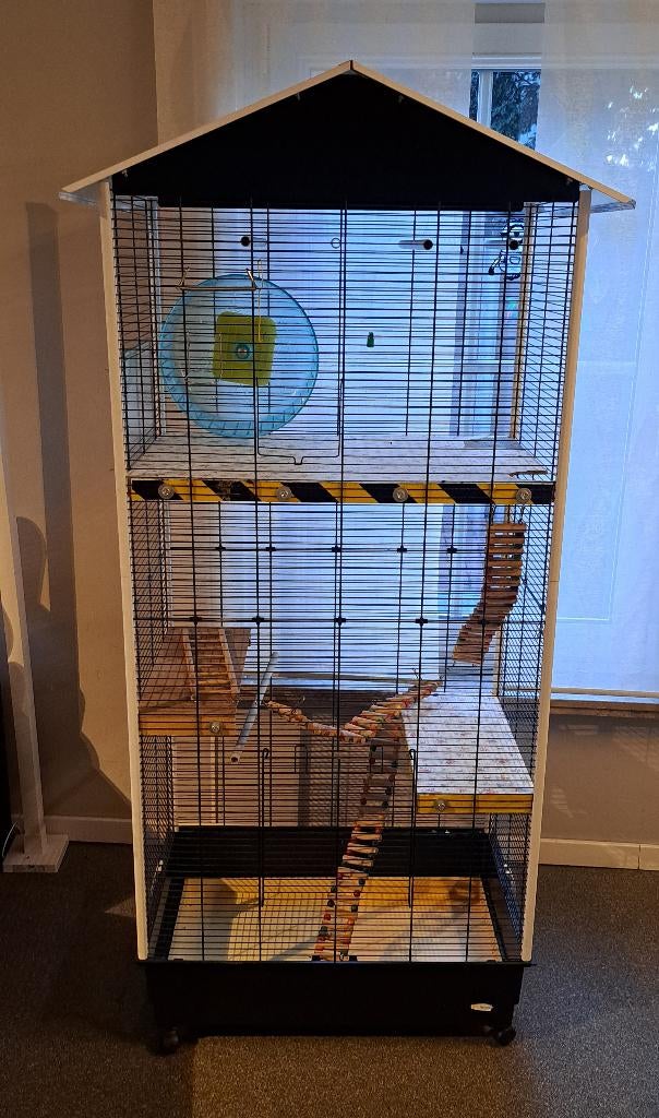 kooi geschikt voor vogels of ratten, Ophalen, Kooi, Eekhoorn, Minder dan 75 cm
