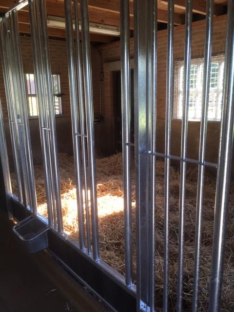 Paardenbox met voeropening, Paardenboxen, Paardenbox Wanden, Stalling