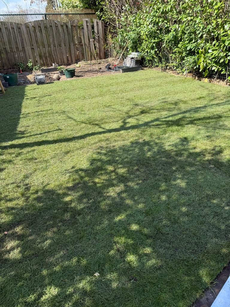 Graszoden (speelgras) 14 rollen, Tuin en Terras, Gras en Kunstgras, Ophalen, Nieuw, 10 tot 20 m², Gras