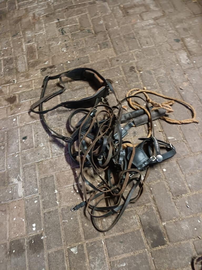 Te koop, Ophalen, Overige soorten