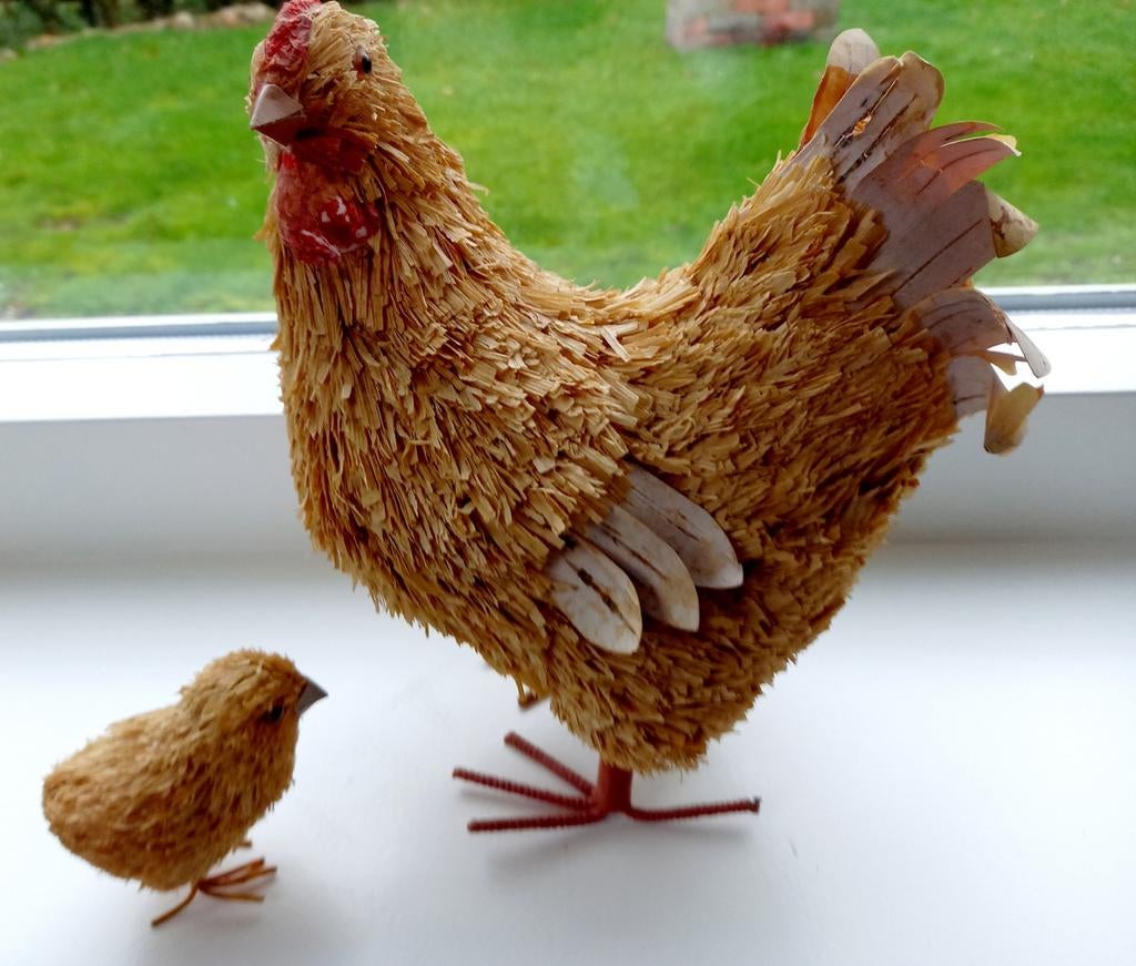 Kip en kuiken, Ophalen of Verzenden