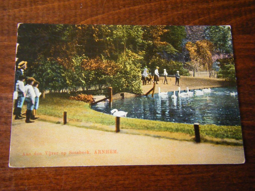T37 - Arnhem - Sonsbeek - Zwaan - 1916 - Mooi/Oud, Ophalen of Verzenden, Voor 1920, Gelderland