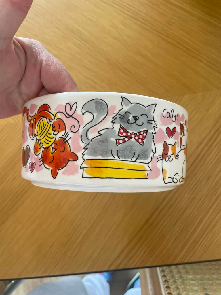 Blond Amsterdam voerbak kat, Dieren en Toebehoren, Ophalen of Verzenden, Nieuw