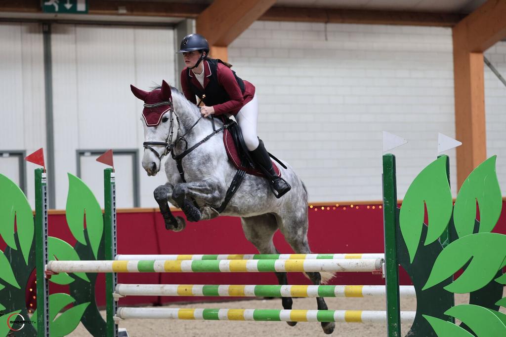 Springles aangeboden | Orun 3 instructie, Dieren en Toebehoren, Paarden en Pony's | Overige Paardenspullen, Ophalen of Verzenden