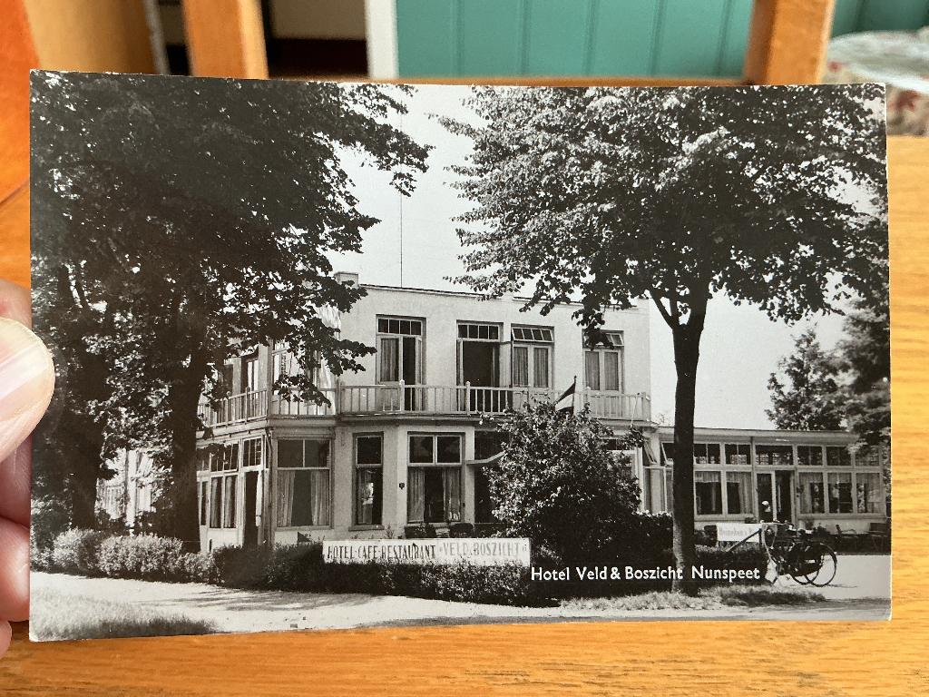 Nunspeet hotel Veld & Boszicht, Verzenden, 1940 tot 1960, Ongelopen, Gelderland