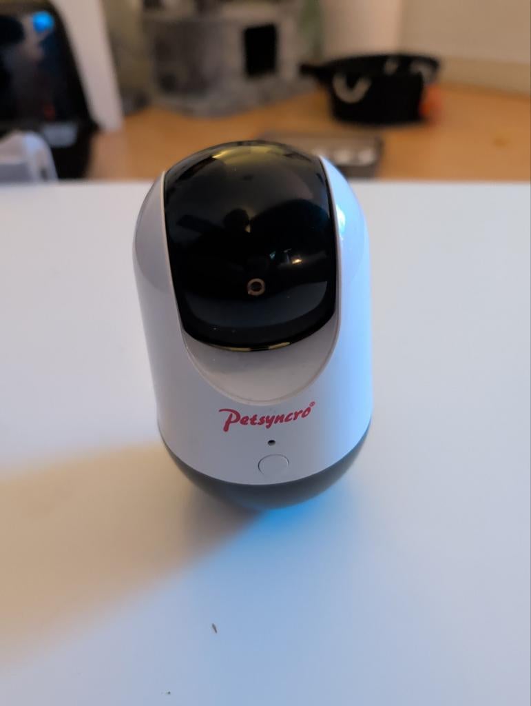 Petsyncro PlayMe Cat Toy with Laser, Ophalen, Zo goed als nieuw, Laserspeelgoed