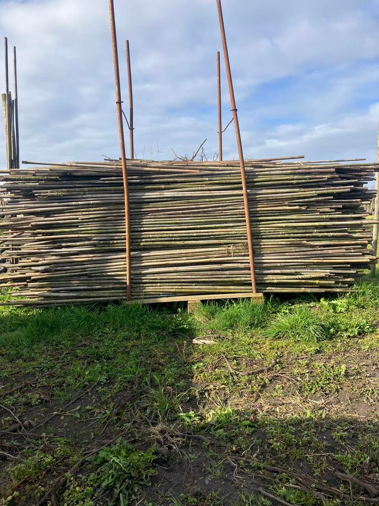 Bamboestokken 220 cm, Ophalen, Gebruikt, 180 tot 250 cm, Overige typen