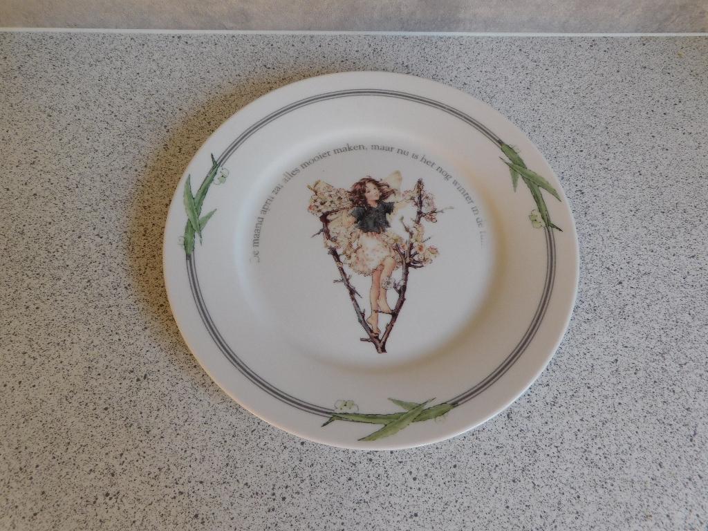 Bord 19,5 cm. de Sleedoorn Flower Fairies Douwe Egberts, Ophalen of Verzenden, Zo goed als nieuw, Bord(en), Overige stijlen