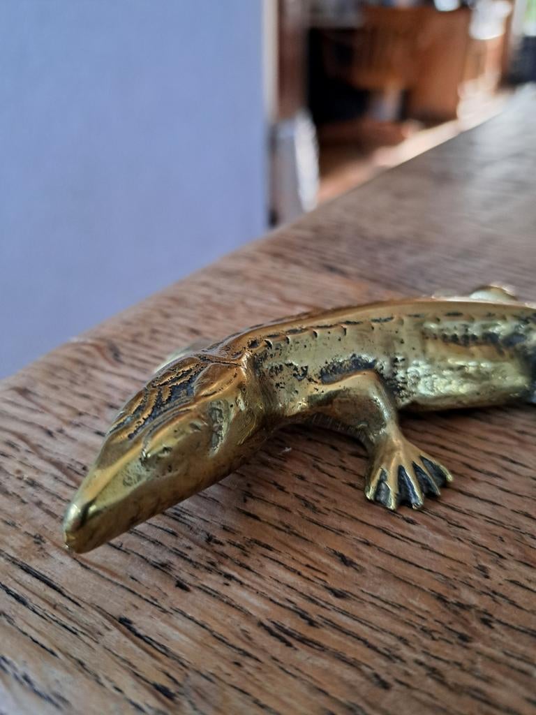 Koperen hagedis, Ophalen of Verzenden