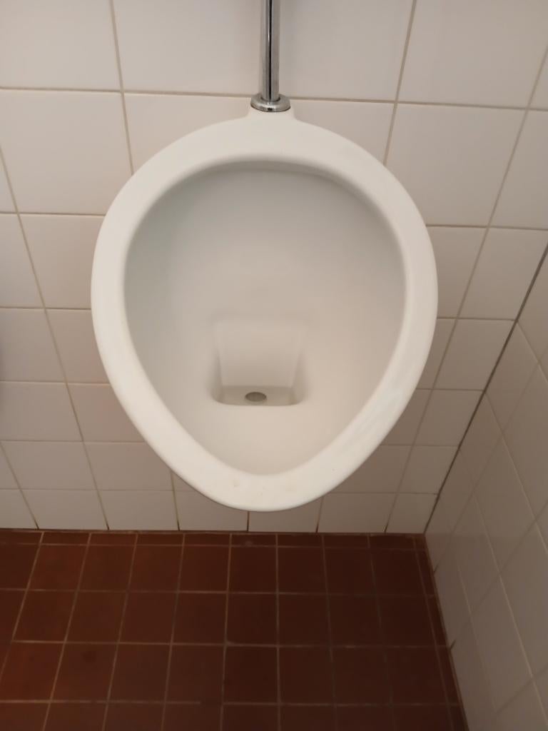 Urinoirs     compleet, Ophalen, Gebruikt, Steen