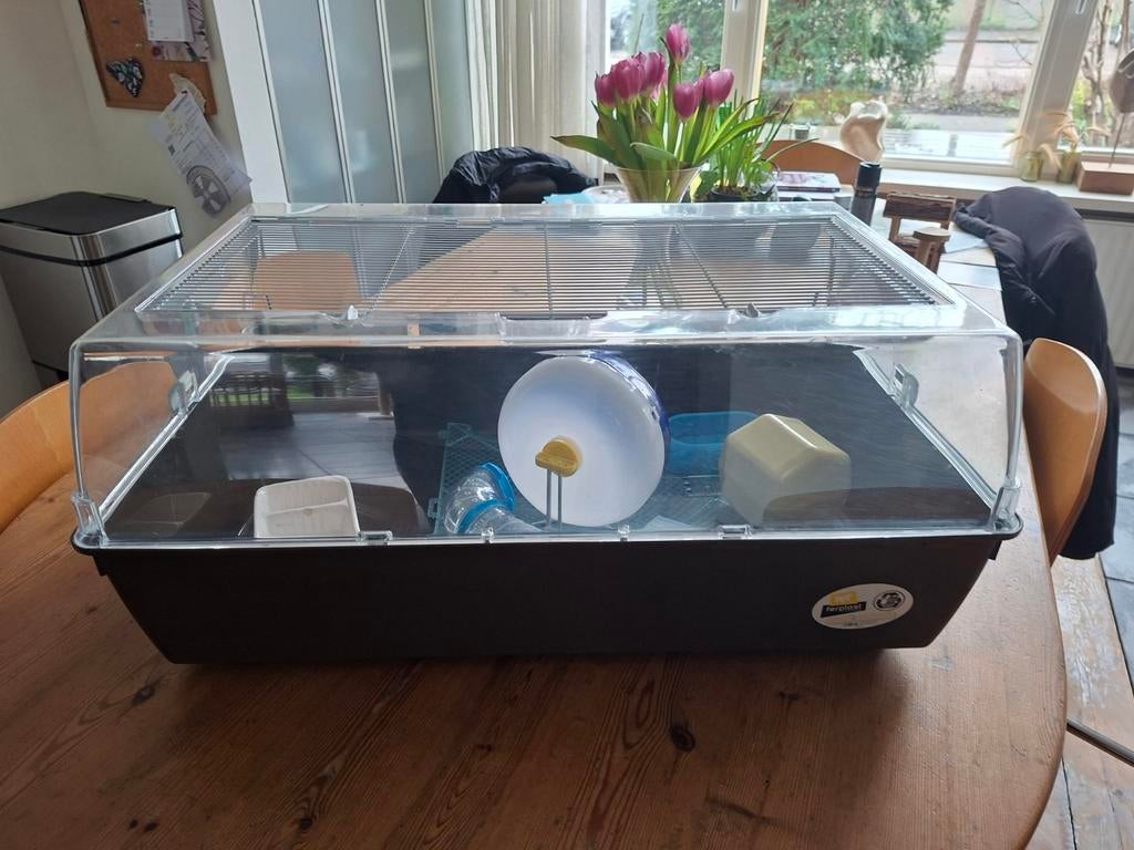 Goed uitziende Ferplast duna multy aangeboden, Kooi, Hamster, 75 tot 110 cm, Ophalen