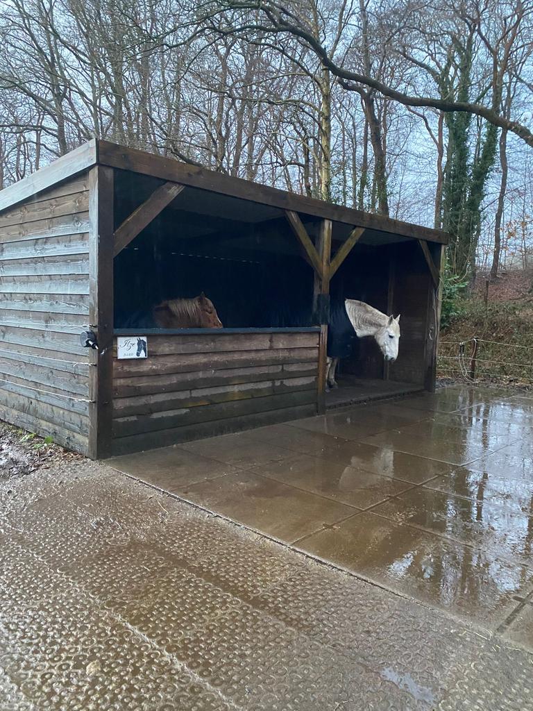 Handig persoon gezocht die een overkapping wil maken, Ophalen of Verzenden