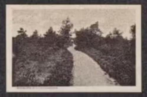 Heerde Rijwielpad naar de Delle, Fietser., Verzamelen, Ophalen of Verzenden, 1920 tot 1940, Ongelopen, Gelderland