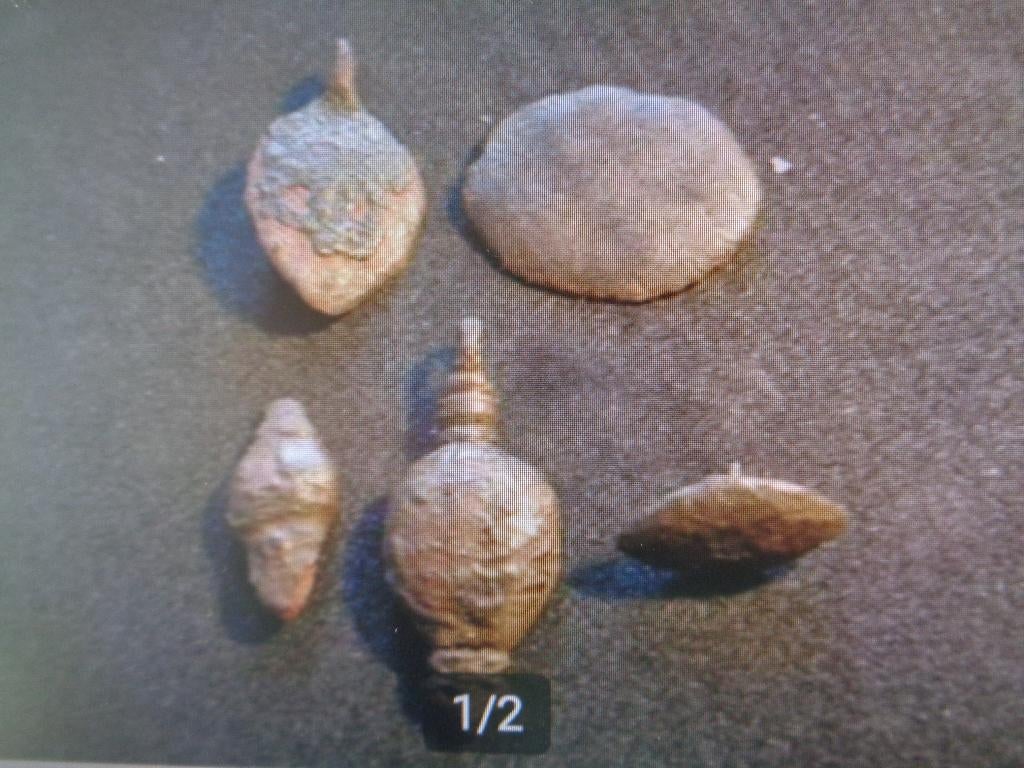 18eeuws bronse Paarden Optuigage Leerbeslag, Ophalen of Verzenden, Koper