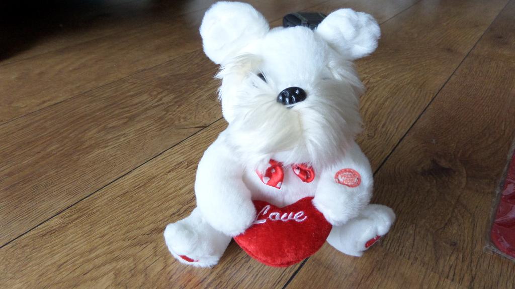 attributen valentijn bruiloft; muziekhond, kussen, placemat, Ophalen of Verzenden, Nieuw, Feestartikel, Geboorte of Huwelijk