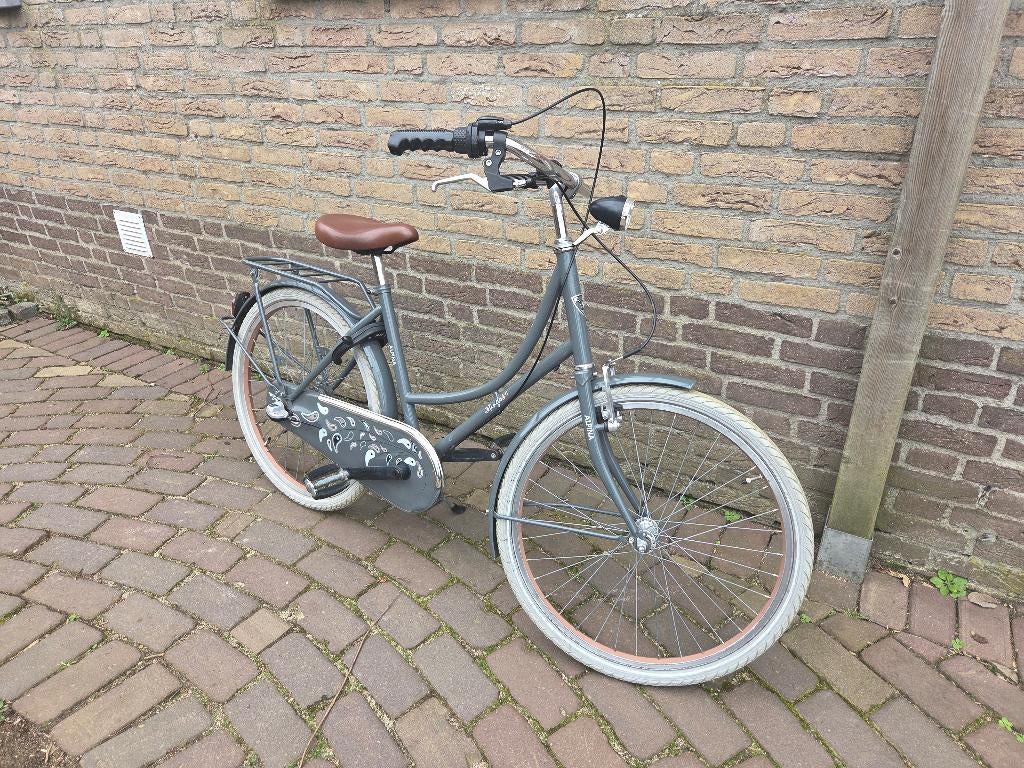 Meisjesfiets 24 inch, Ophalen, Alpina, Versnellingen, Gebruikt