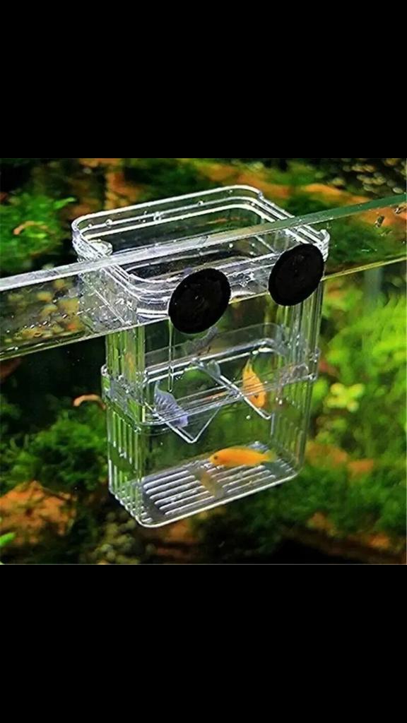 Kweek - opvangbak, Dieren en Toebehoren, Vissen | Aquaria en Toebehoren, Ophalen of Verzenden, Nieuw, Leeg aquarium