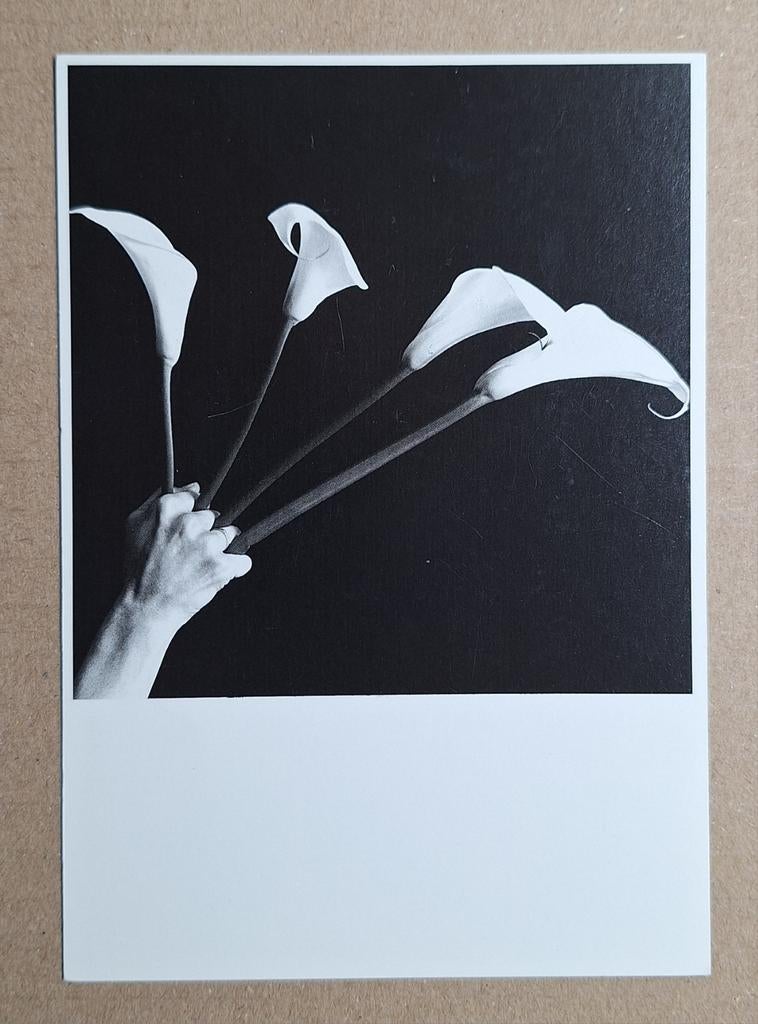 Paul Blanca - Aronskelken, 1984, Ophalen of Verzenden, 1980 tot heden, Ongelopen, Overige thema's