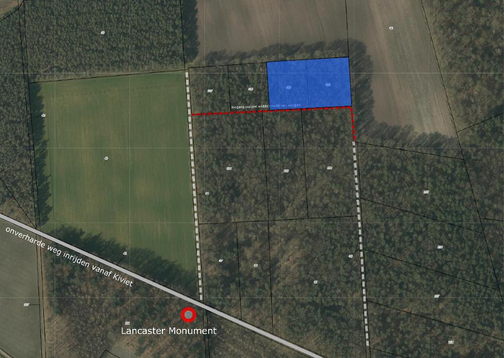 Perceel bosgrond in Grashoek, Huizen en Kamers, Kavels en Percelen, Eindhoven, 1500 m² of meer