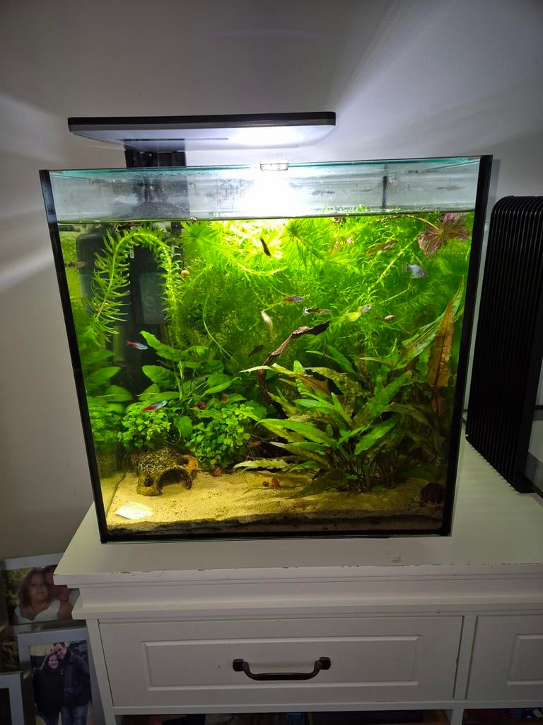 Aquarium super fish qubiq 60l, Dieren en Toebehoren, Ophalen, Gebruikt, Leeg aquarium