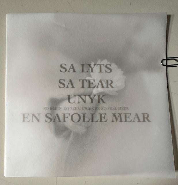 Geboortekaartje Nanne 2-5-2005, kunst adelt, Verzamelen, Ophalen of Verzenden, 2000 tot heden, Geboortekaartje