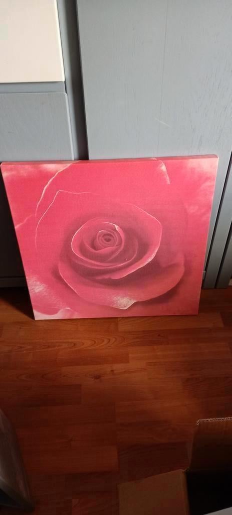 Canvas schilderij rode roos vierkant 60x60 cm rood , Ophalen, Gebruikt, 50 tot 75 cm, Schilderij